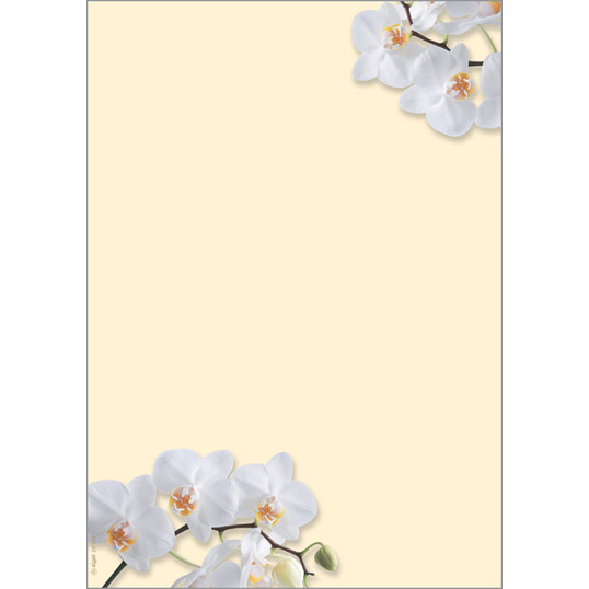 Motivpapier White Orchid A4 90 g/m² 50 Blatt