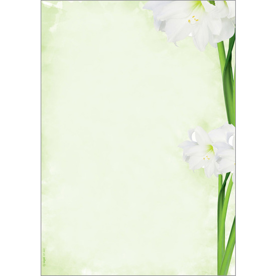 SIGEL Motiv-Papier "Green Flower" | Briefpapier 90 g DIN A4 | 25 Blatt